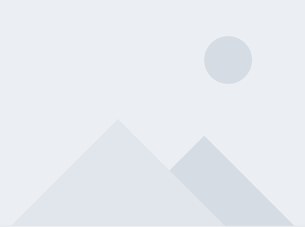 2020 NetSuite Gartner Report